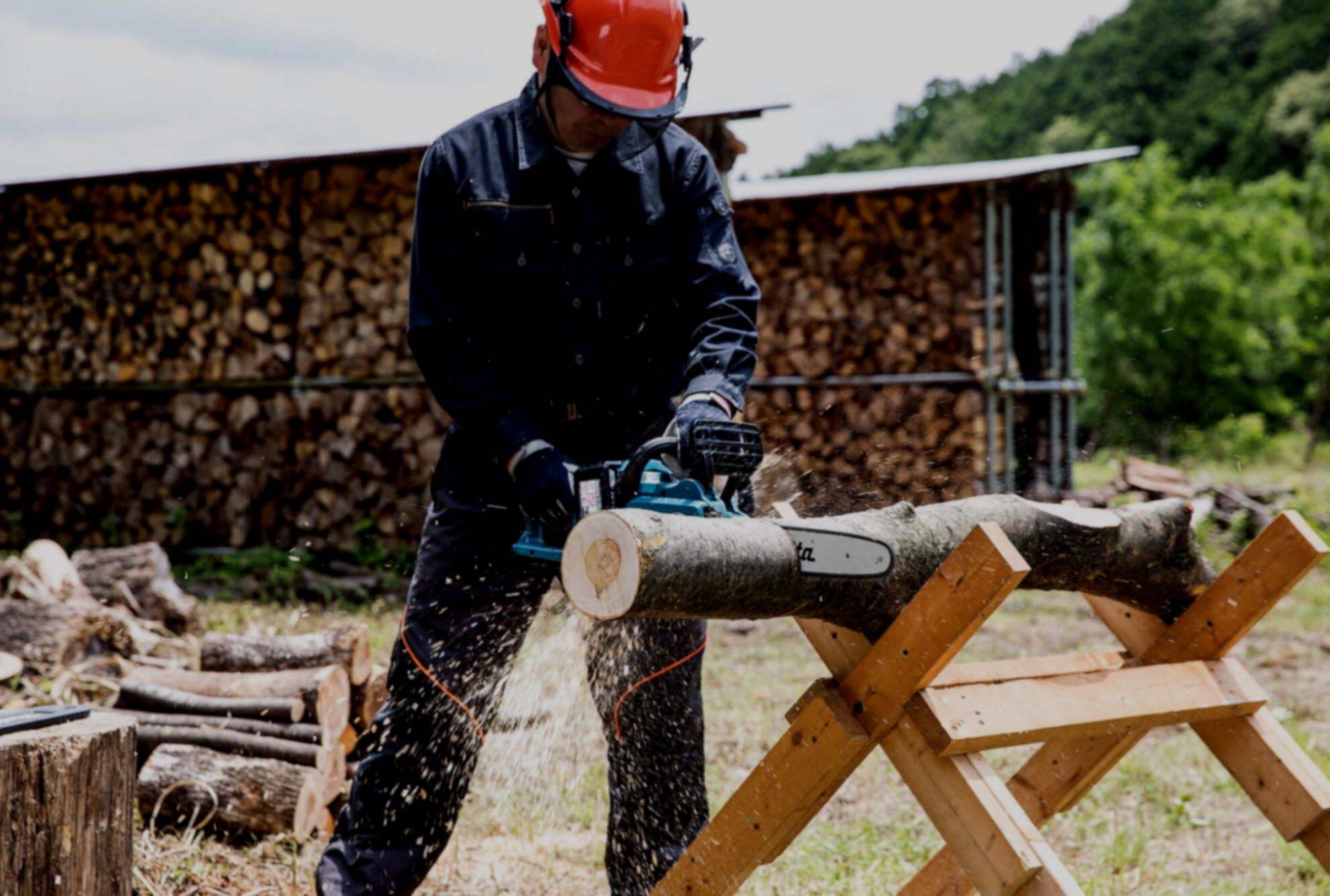 Безопасный спил деревьев: профессиональная техника и основные правила работы - 2