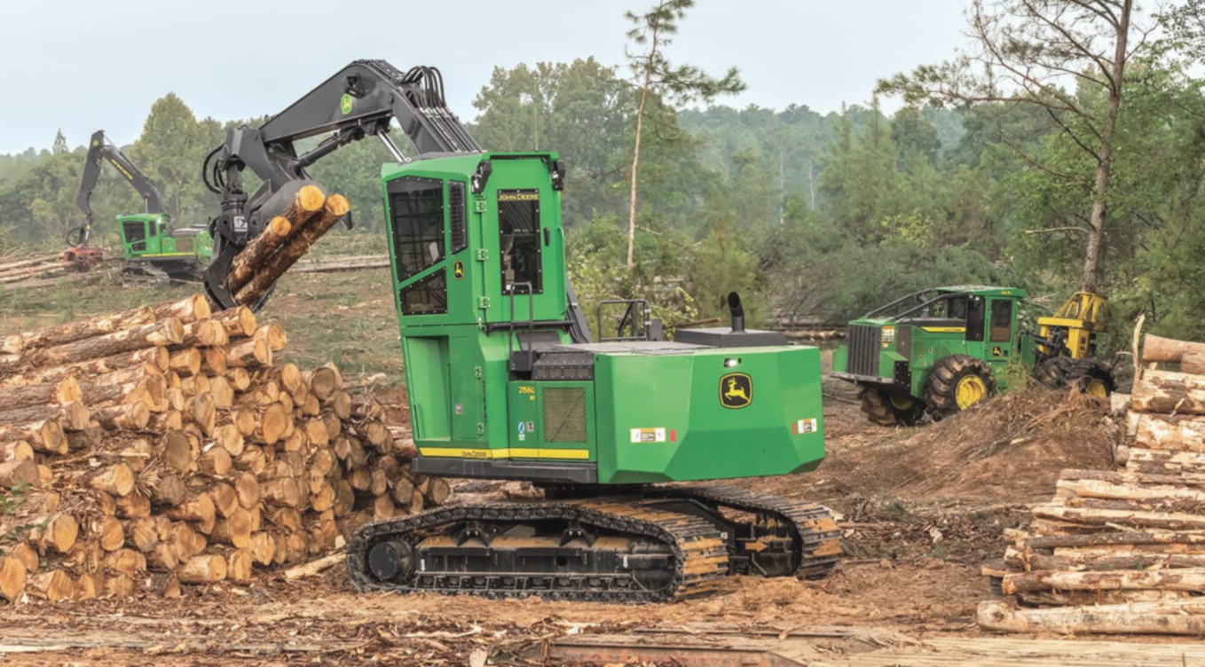 Спил деревьев: комплексный гид по безопасному и грамотному удалению растительности - 3