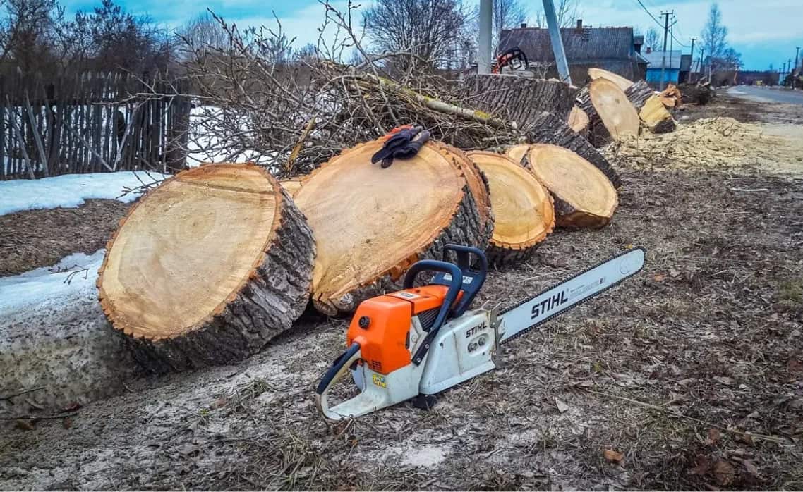 Спил деревьев: комплексный гид по безопасному и грамотному удалению растительности - 1